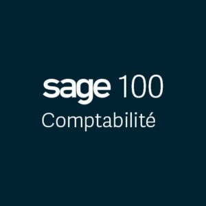 Maîtriser le Sage 100 Comptabilité